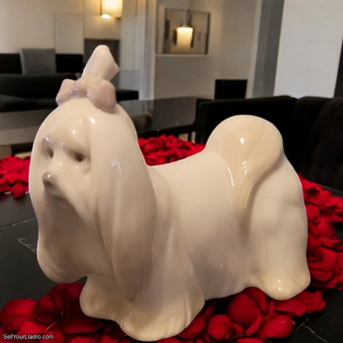 Lladro Retired Dog Puppy Maltese Figurine – Brand New in Box! SKU: 01008368